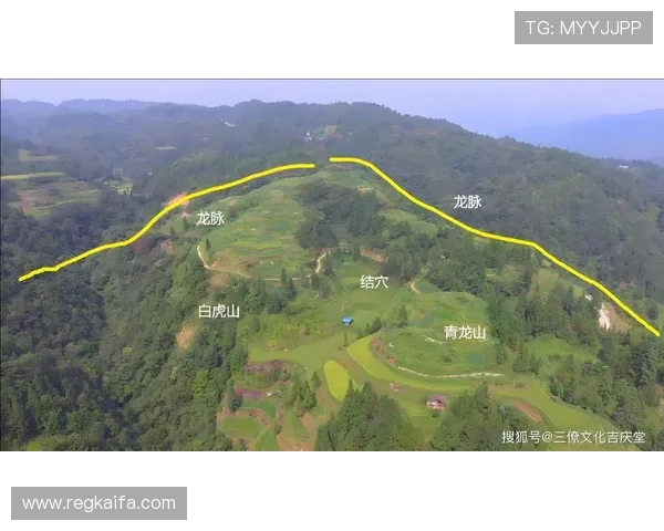 提升龙虎打法技巧的实用方法和操作细节详解