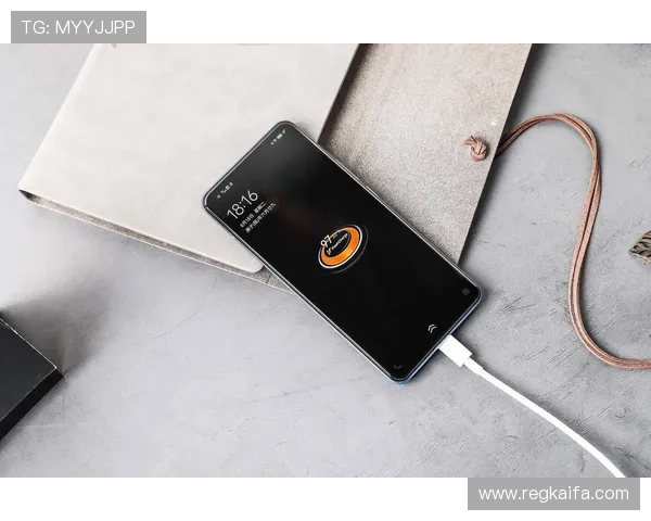 K8凯发官网手机版最新安全稳定的登录入口推荐，确保玩家畅玩无忧